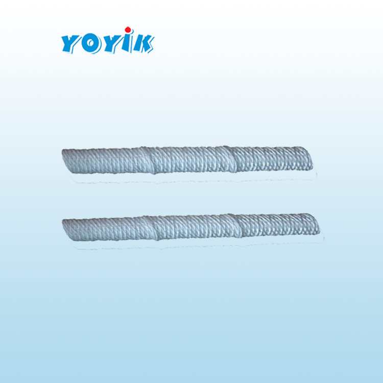 滤芯MSL-31发电机定冷水系统主水过滤器滤芯插图