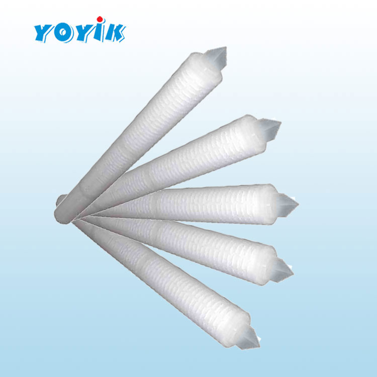 滤芯SG-125/0.8发电机定子冷却水系统水滤芯插图 滤芯SG-125/0.8发电机定子冷却水系统水滤芯插图