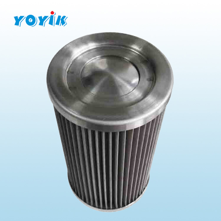 滤芯DS101EA100V/-W循环泵入口滤芯 不锈钢滤芯插图