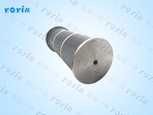 滤芯LY-38/25W的应用行业 电站并联滤芯 汽轮机润滑油双联过滤器滤网滤芯插图