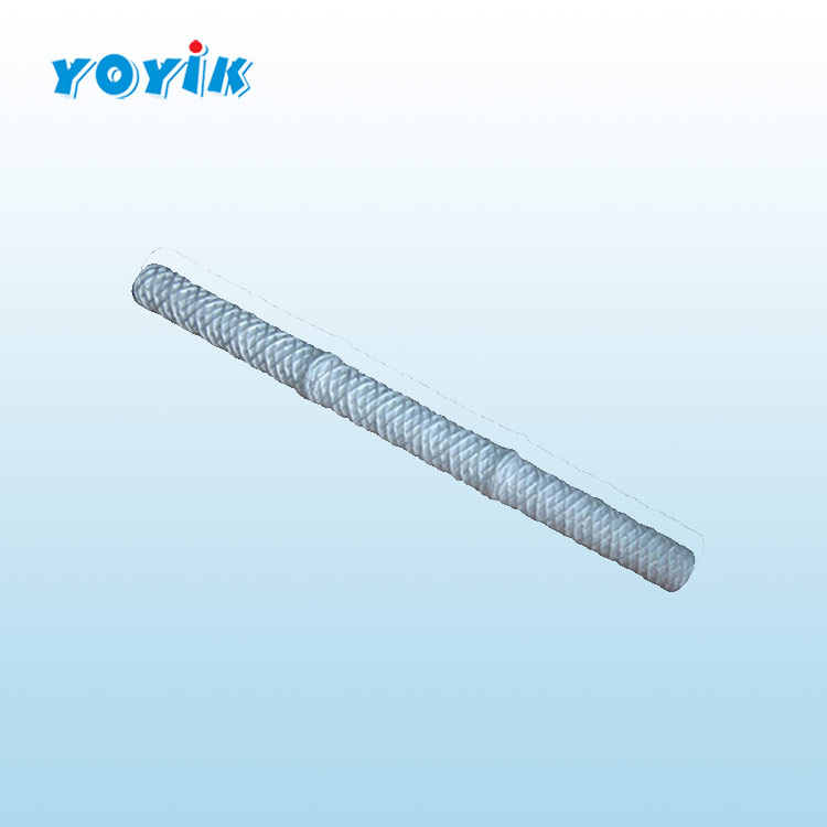 滤芯MSL-31发电机定冷水系统主水过滤器滤芯