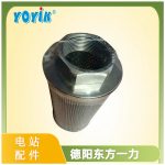 循环泵入口滤芯DS101EA100V/-W